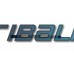 Asus GL753VD TP FFC 8P 0.5 L78 