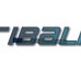 Asus GL753VD TP FFC 8P 0.5 L78 