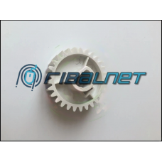 LOWER ROLLER GEAR 29T  *Fuser